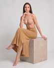 Sanado Fishcut Saree Shapewear