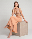 Sanado Fishcut Saree Shapewear